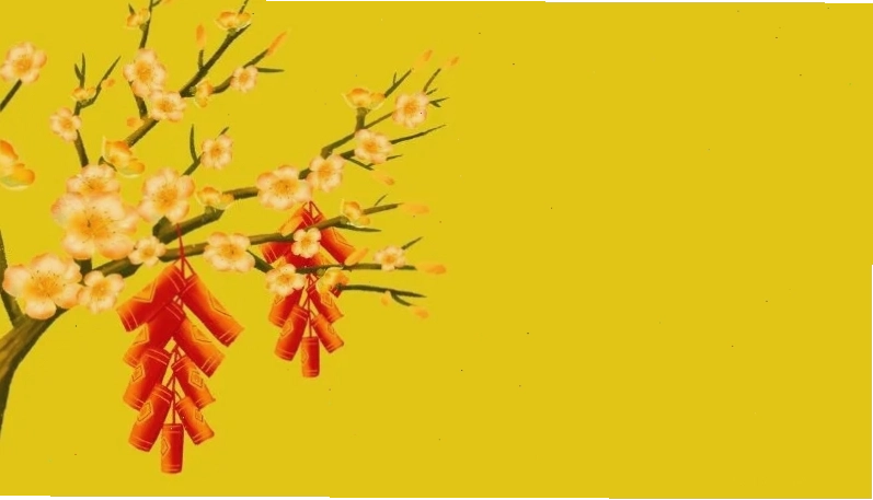 hình nền hoa mai tết truyền thống
