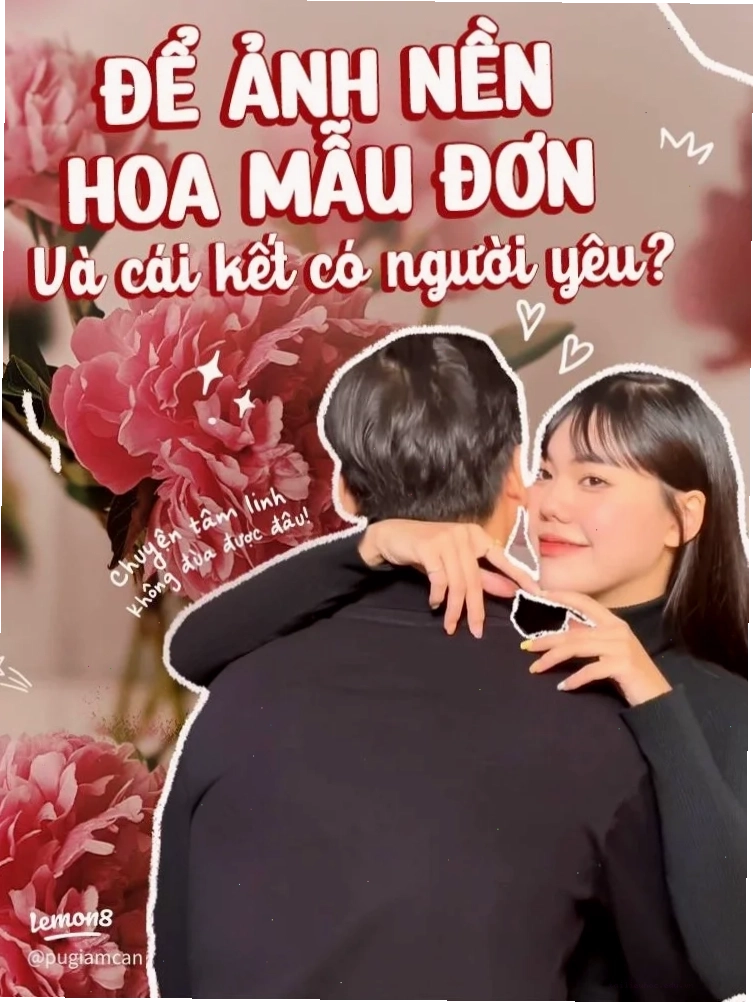 hình nền hoa mẫu đơn thu hút tình duyên kiêu sa
