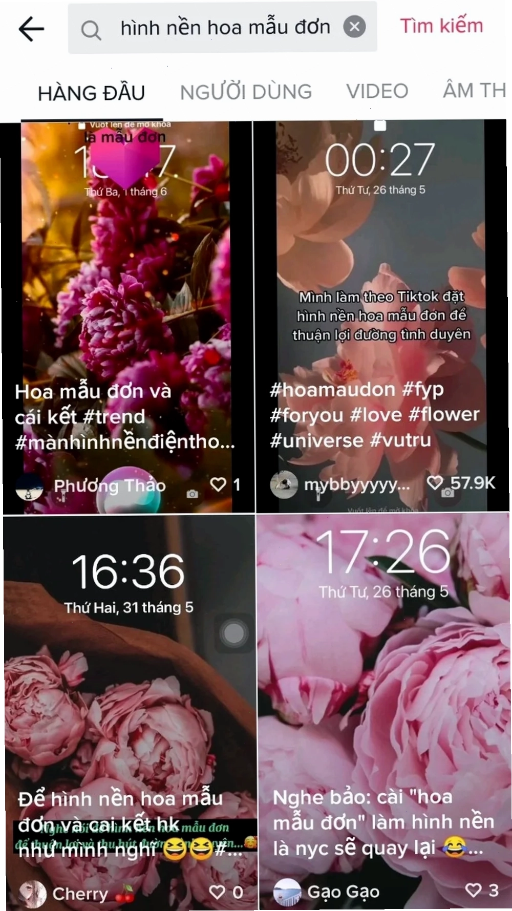 hình nền hoa mẫu đơn thu hút tình duyên rực sắc