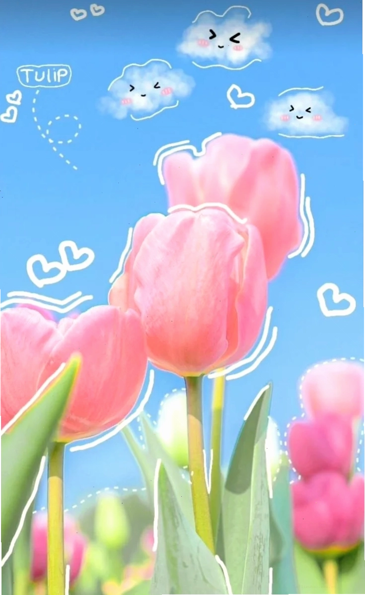 Hình nền hoa tulip hỗn hợp nhiều màu sắc