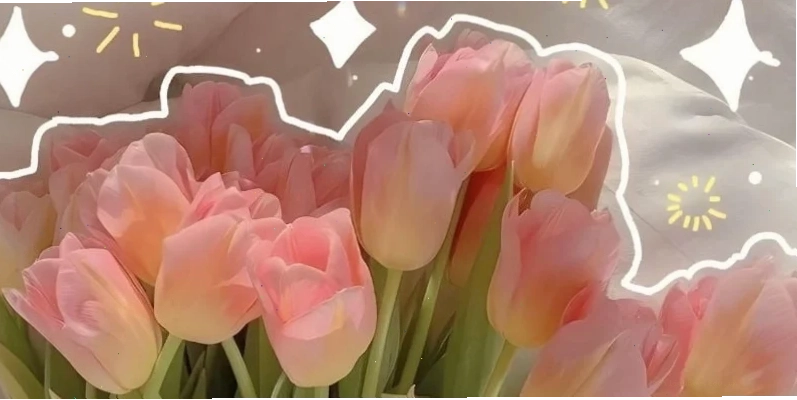 Hình nền hoa tulip vàng mang hy vọng mới