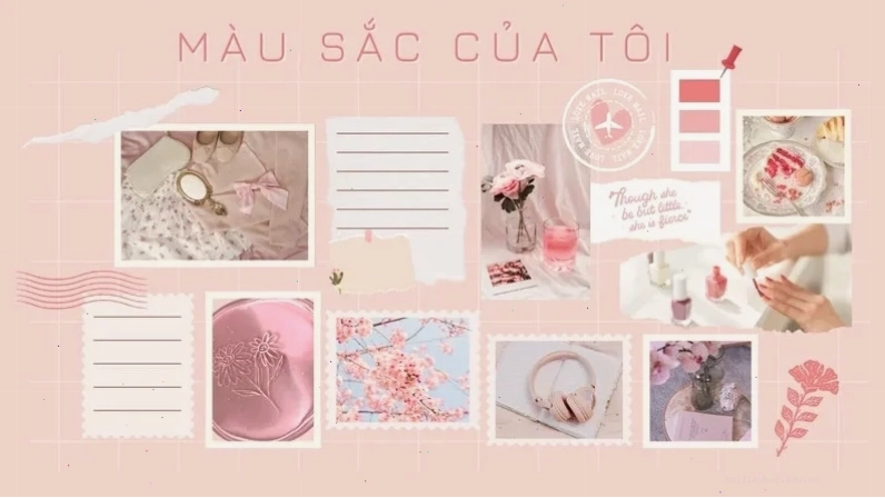 hình nền hồng nhạt đẹp đơn giản