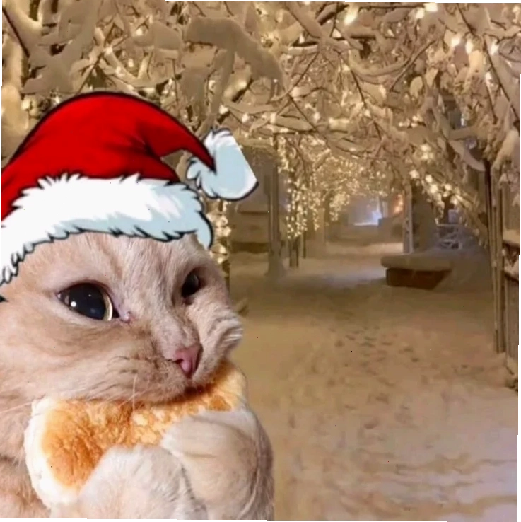 hình nền mèo giáng sinh meme hình nền mèo giáng sinh meme nghệ thuật