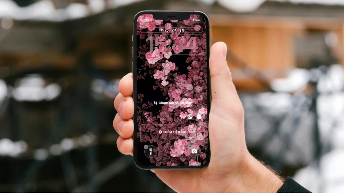 Trái cây dễ thương hình nền nổi 3d