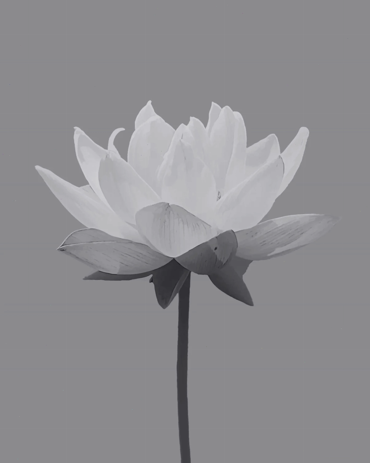 hình nền tang đen chân thành