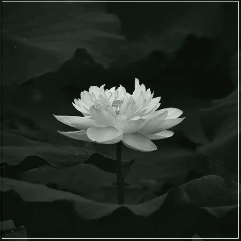 hình nền tang lễ tối ưu