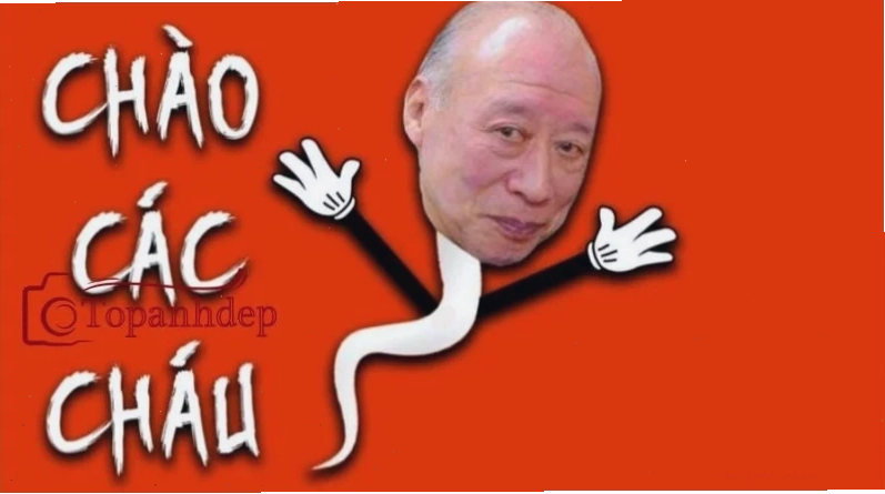 Tokuda phán xét hình nền tuhzu vui nhộn