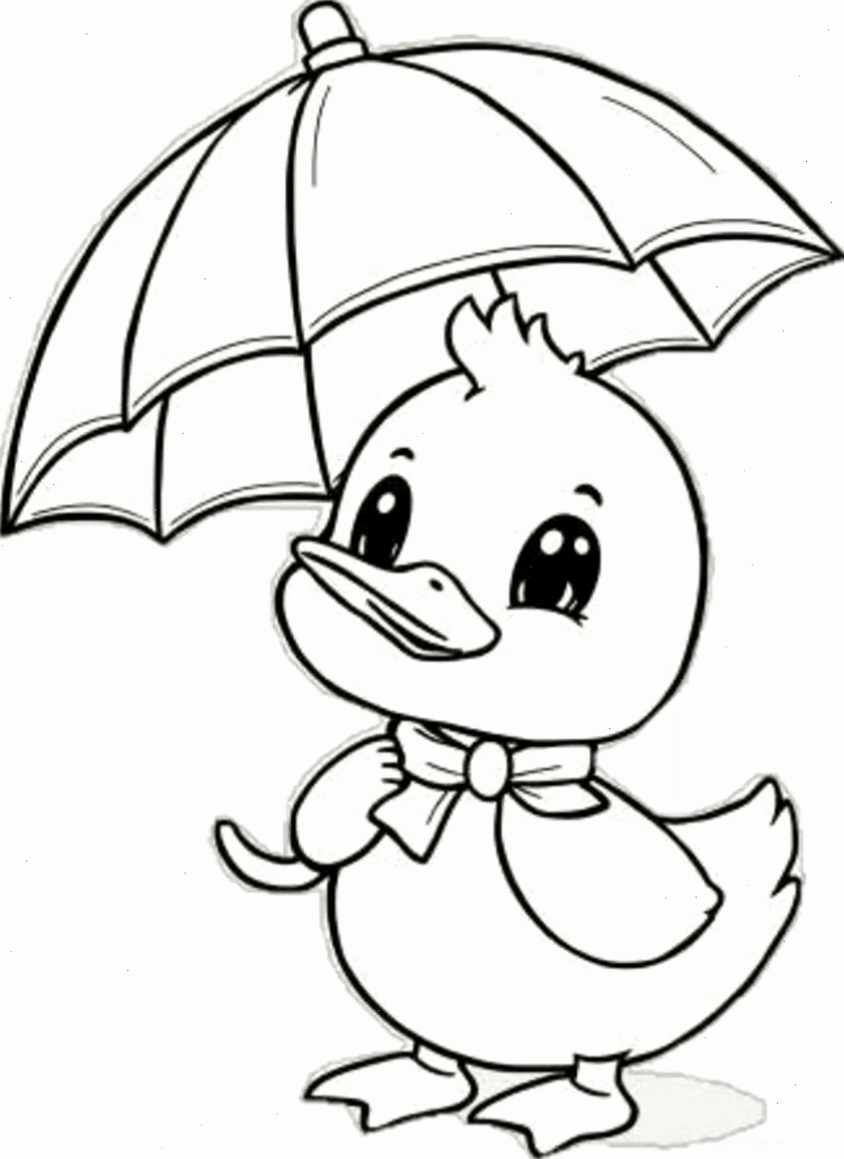 Hình tô màu hà mã hình tô màu con vật hà mã