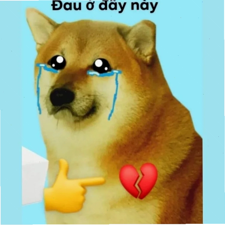 Hình troll đau ở đây