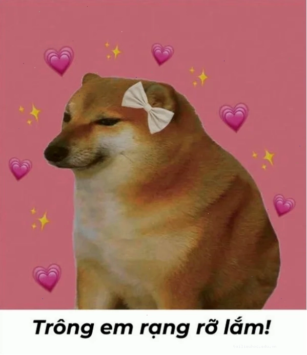 Hoa tươi xinh đẹp tuyệt vời meme