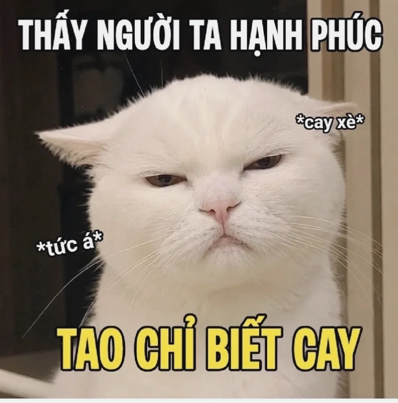 Hoàn thiện Hoàn thiện sản phẩm tạo ảnh meme
