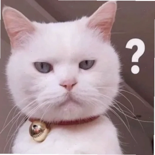 hỏi chấm meme hài hước