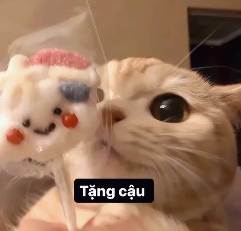 kẹo meme sáng tạo kẹo meme độc lạ