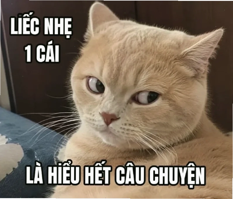 kết nối cộng đồng kết nối là sao meme