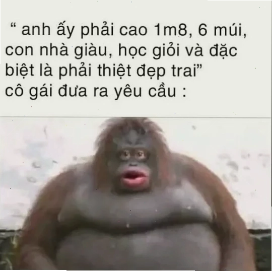 Khỉ đột áp lực khỉ đột meme căng thẳng
