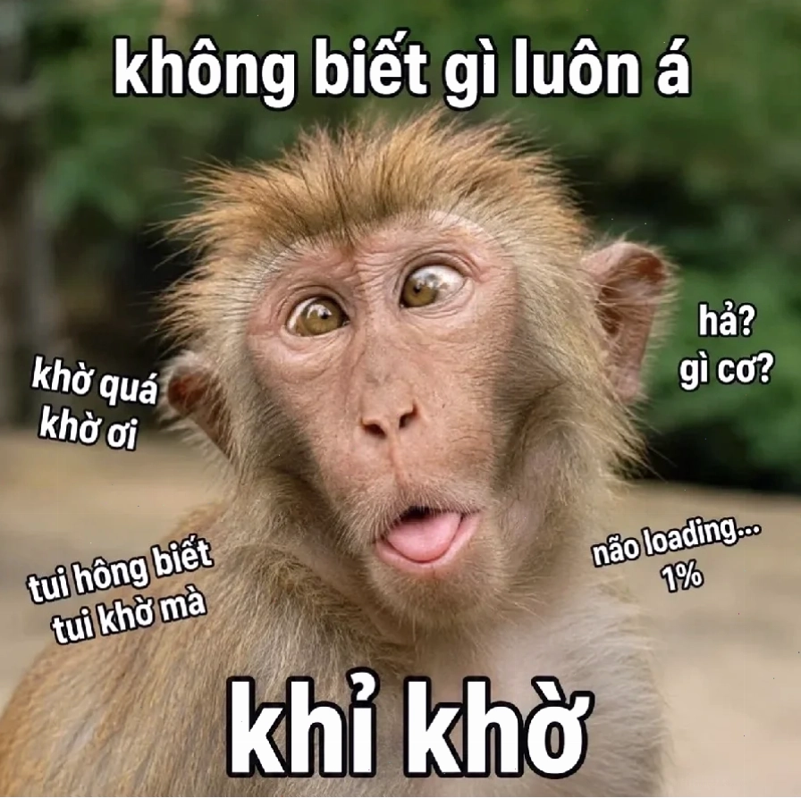 Khỉ đột mệt mỏi khỉ đột meme đang ngủ