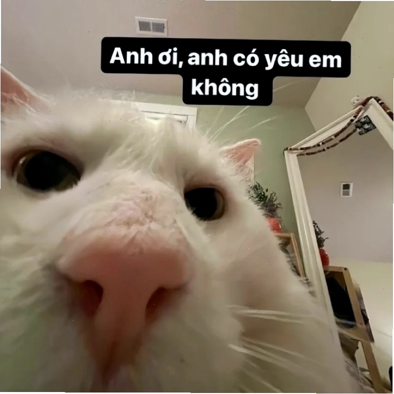 Lãng mạn chiều tà Khoảnh khắc lãng mạn kèm meme em yêu anh