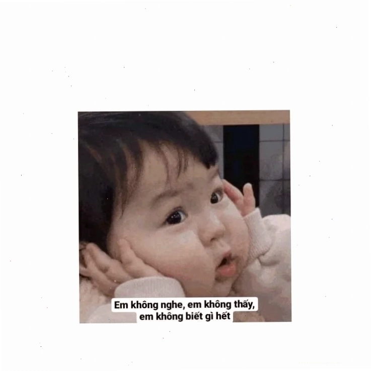 không em meme