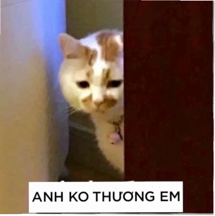 Cảnh quay hài hước trong clip gốc không em meme