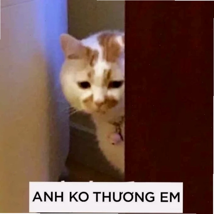 Cảnh quay hài hước trong clip gốc không em meme