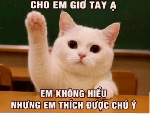 không em meme