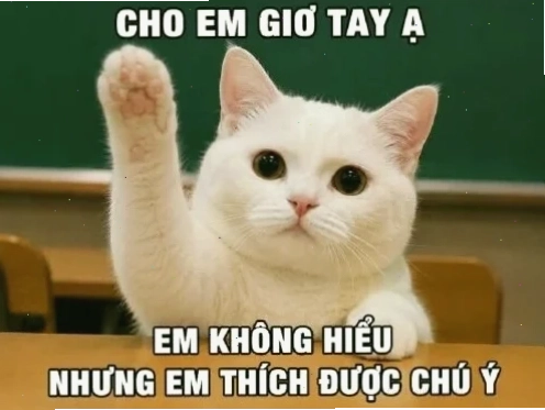 không em meme