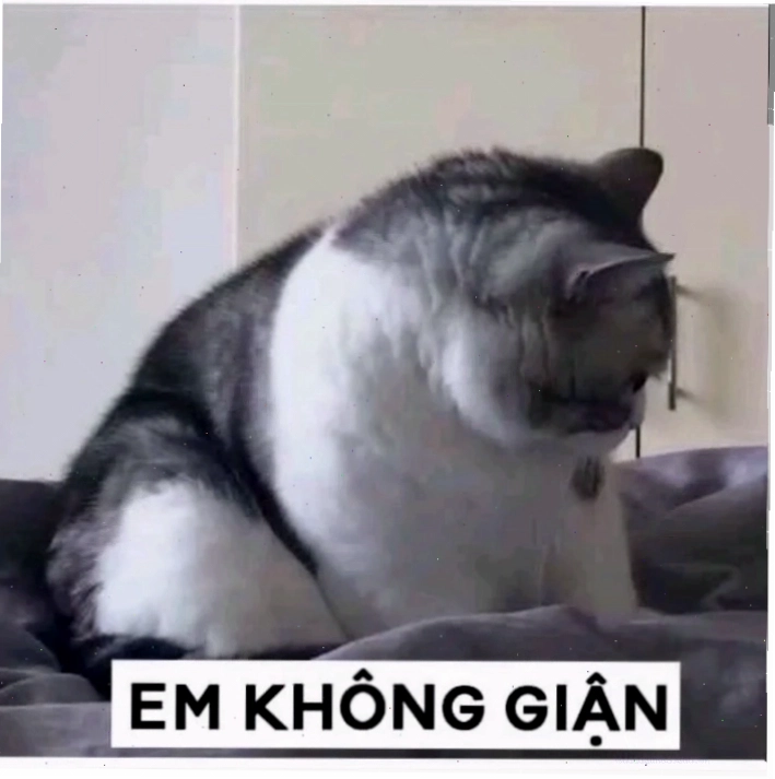 Góc nhìn hài hước từ cộng đồng không em meme