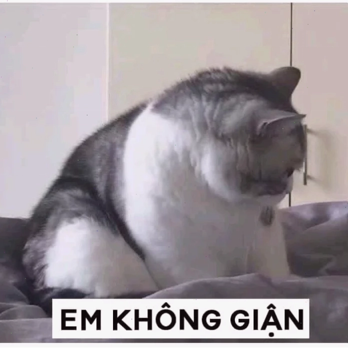 Góc nhìn hài hước từ cộng đồng không em meme