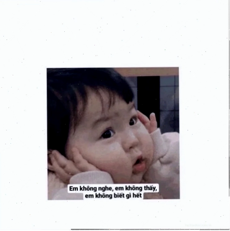 không em meme