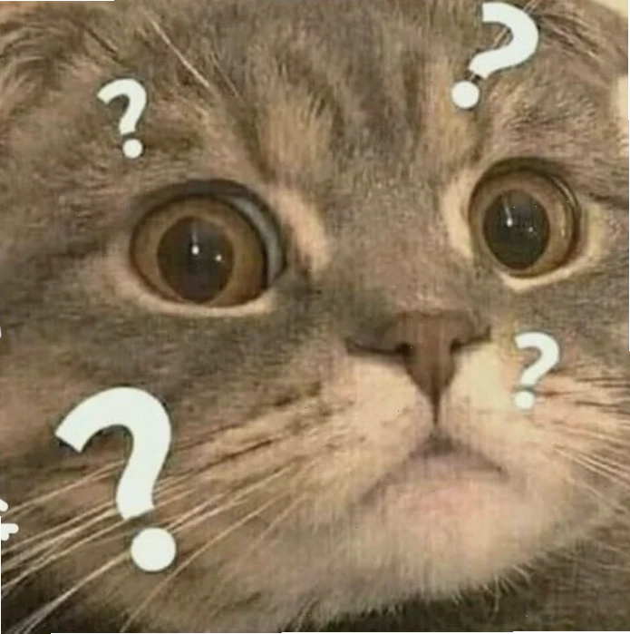 Chó Shiba load não không hiểu meme