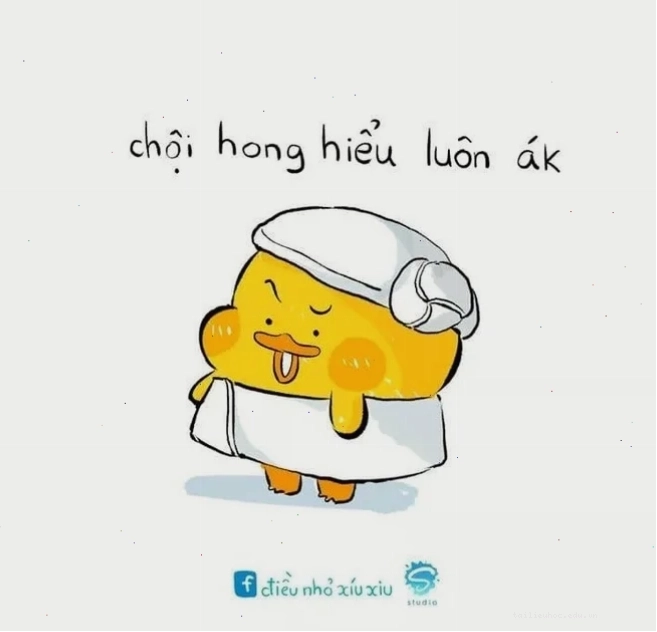 Shiba vô hồn không hiểu meme
