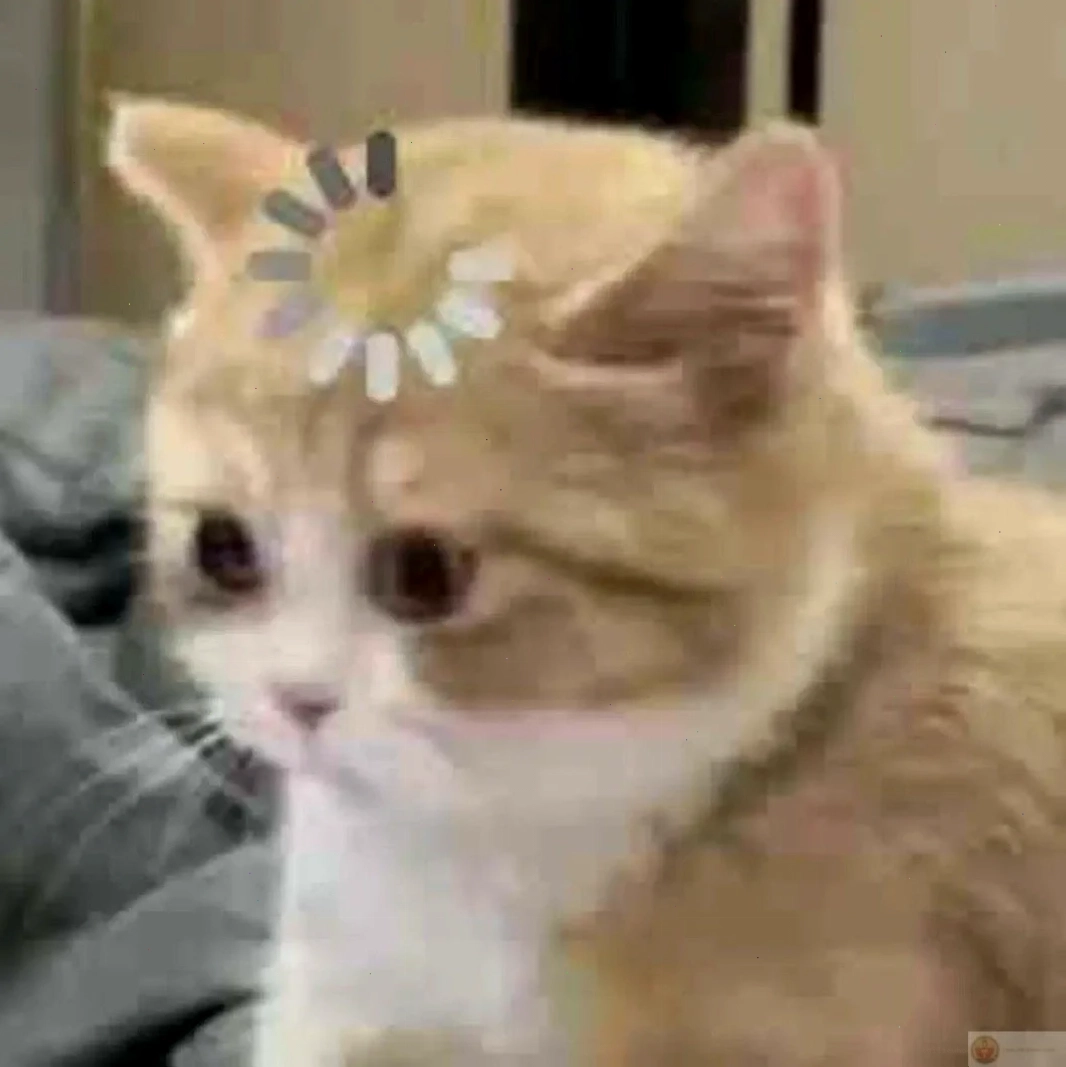 Shiba lặng im không hiểu meme