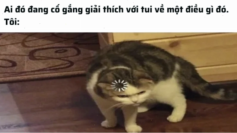 Người que suy nghĩ không hiểu meme