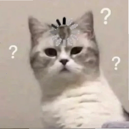 Chú mèo ngơ ngác không hiểu meme