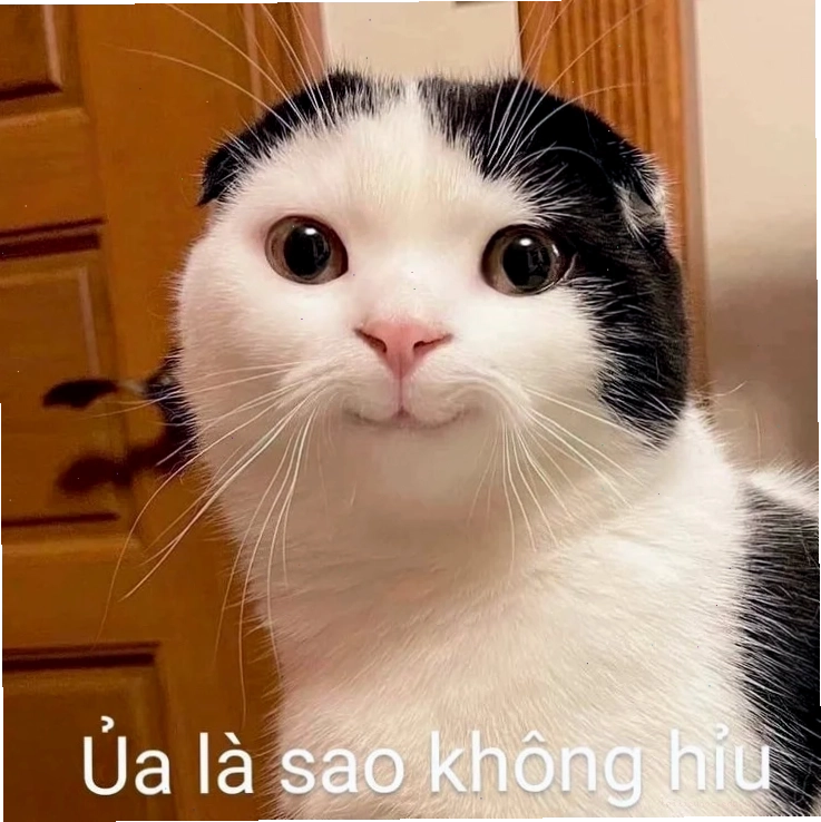 Người que ôm đầu không hiểu meme