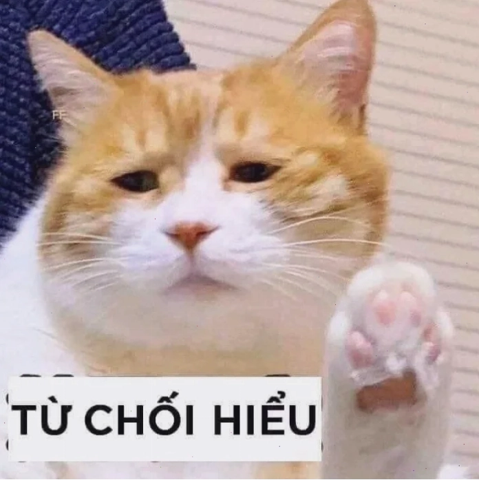 Mặt đực ra không hiểu meme