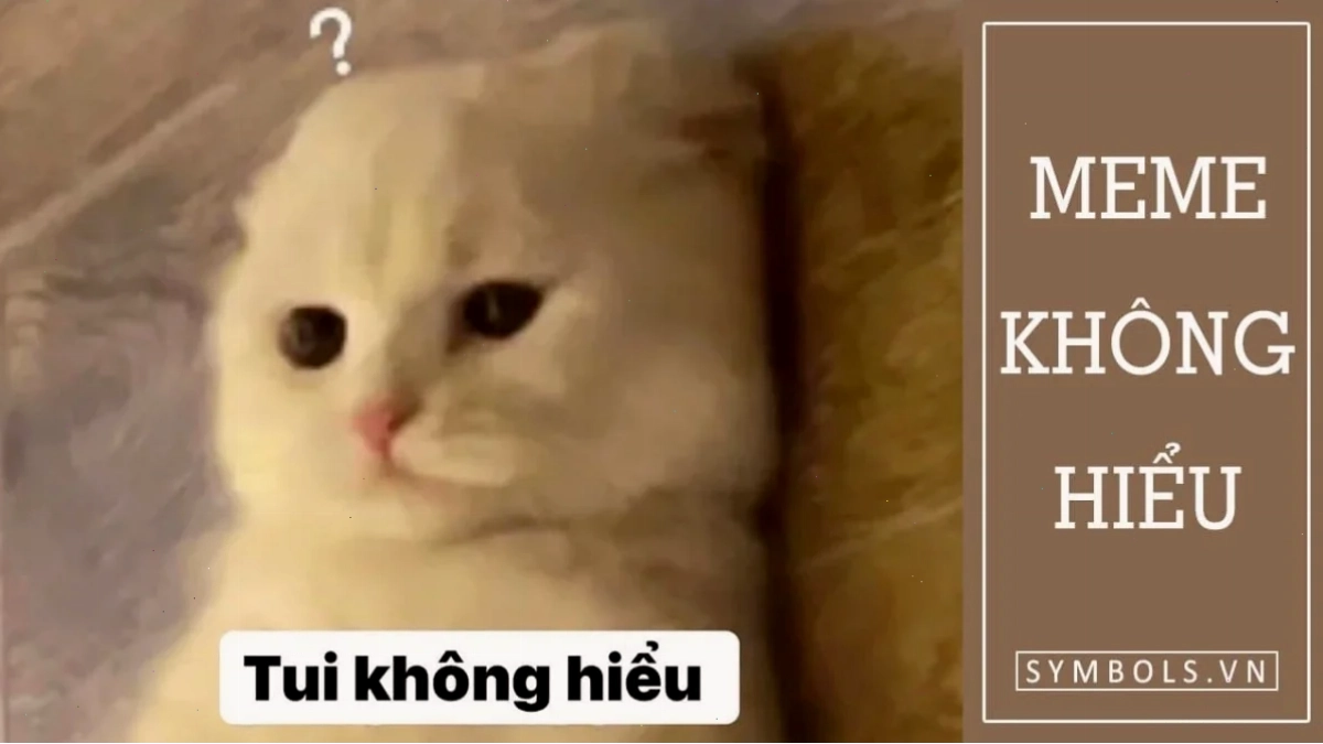 Mèo trừng mắt không hiểu meme