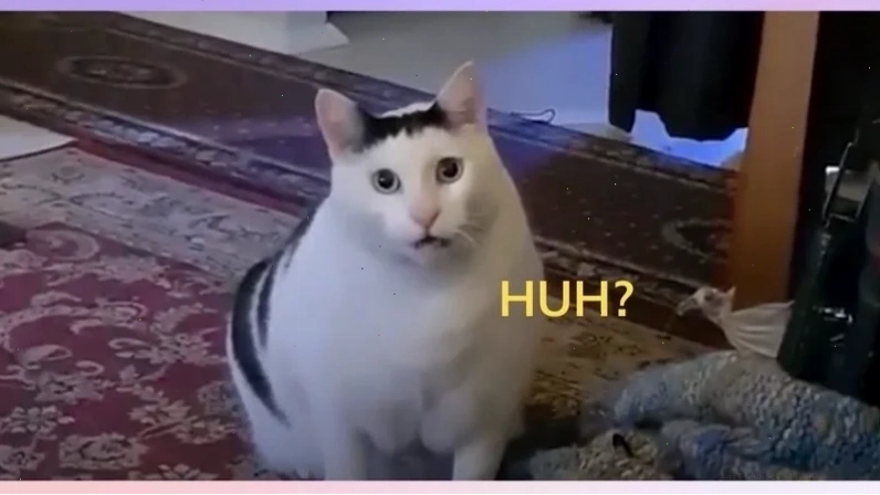 Ánh mắt lạc trôi không hiểu meme
