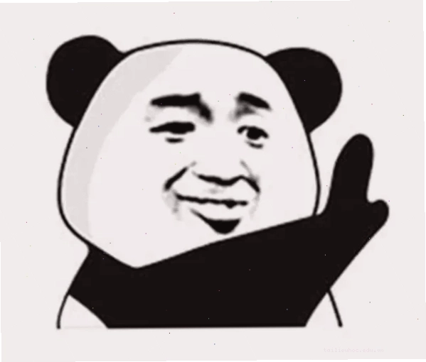 Mèo lú lẫn không hiểu meme