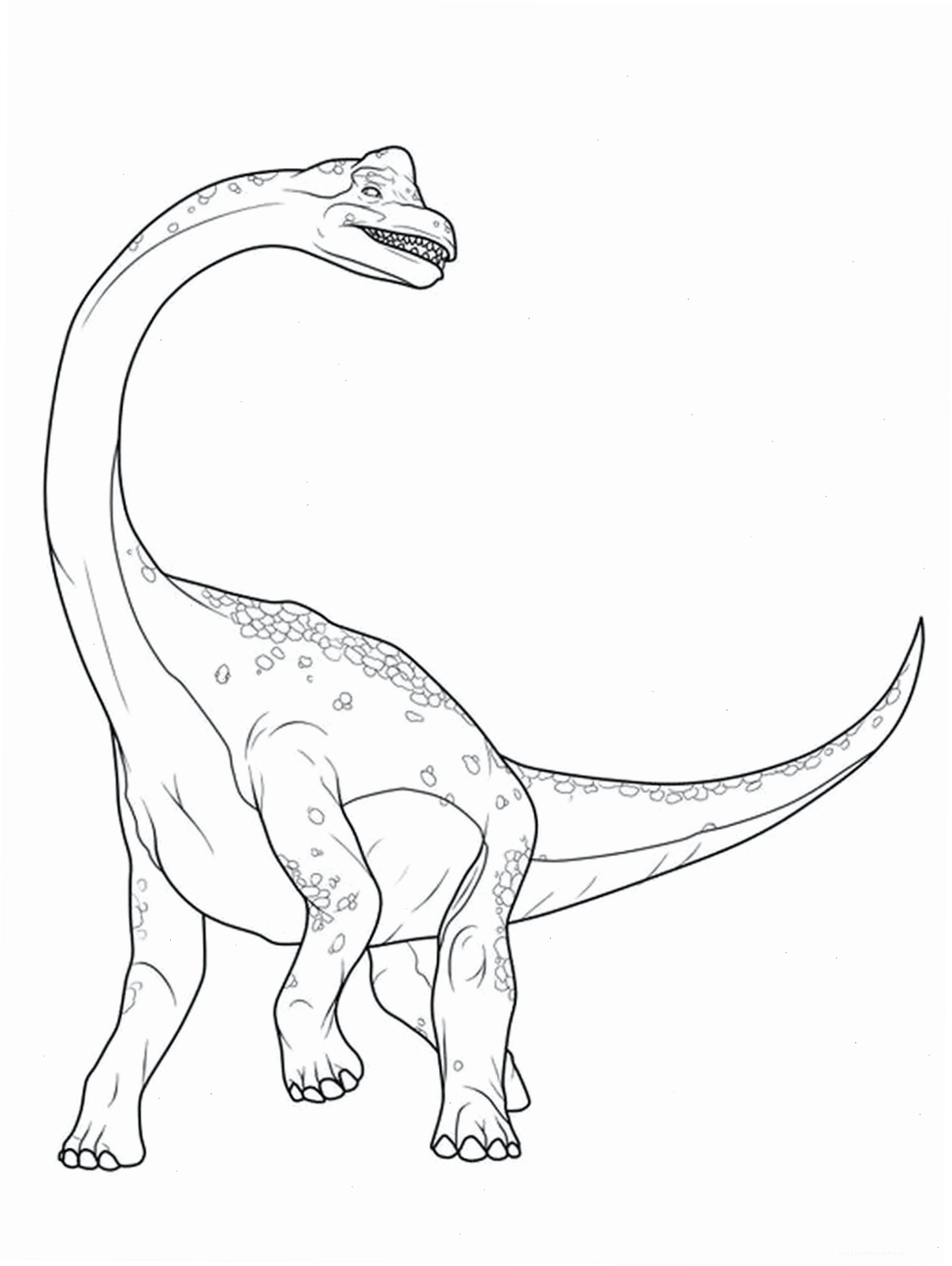 T-Rex trong tranh tô màu Khủng long hình tô màu loài T-Rex