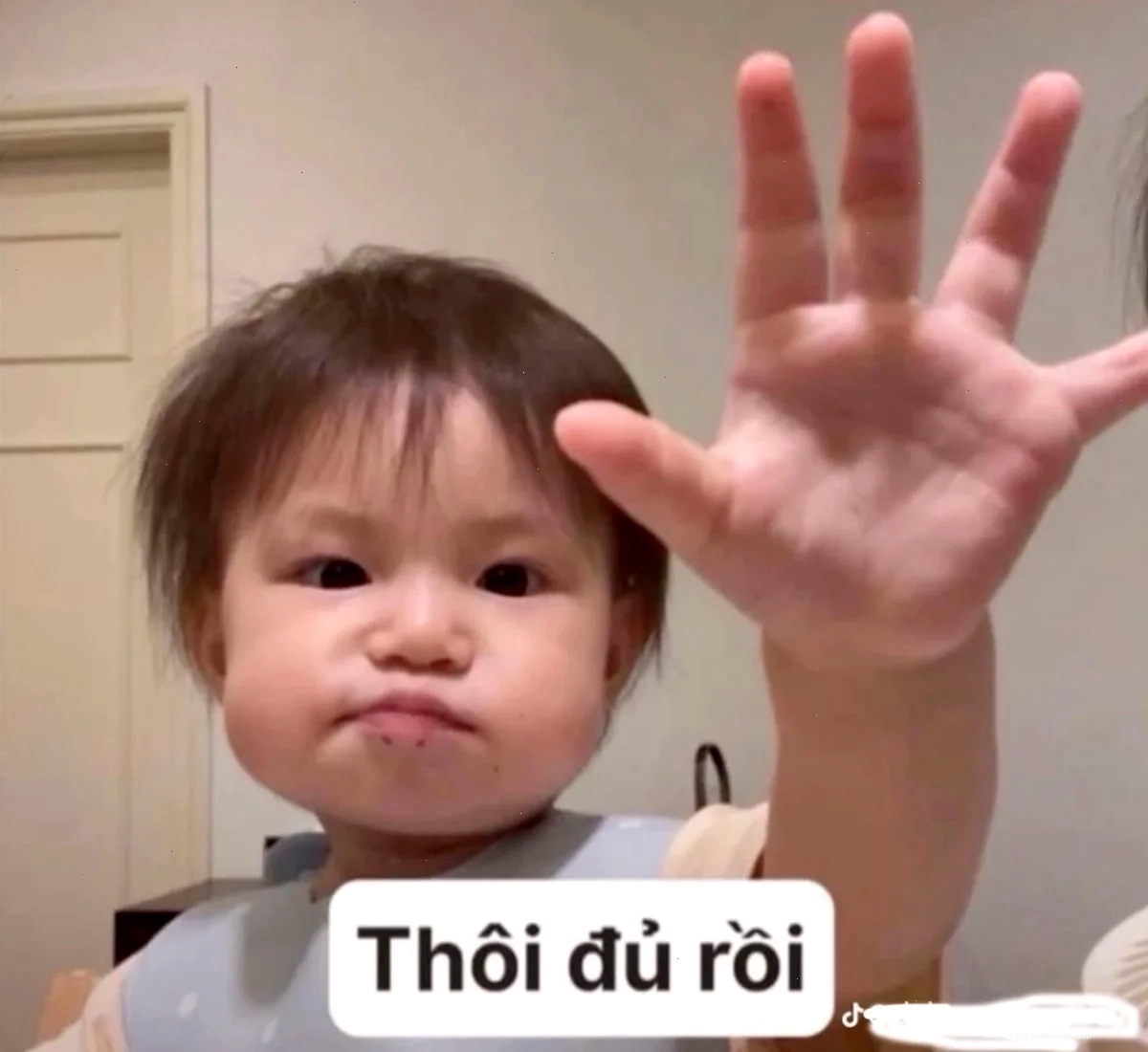 sự bùng nổ meme kỷ nguyên là sao meme