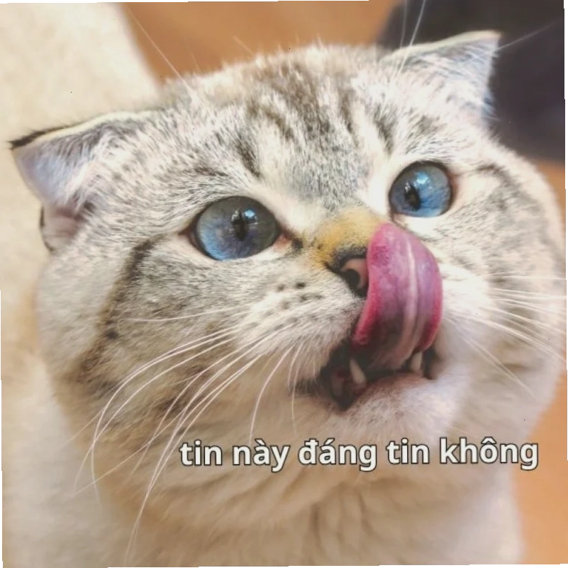 lan tỏa meme tin chuẩn lan tỏa meme tin chuẩn chưa anh khắp mạng xã hội