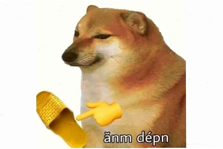 Thỏ bảy màu meme giận Loạt ảnh thỏ bảy màu meme giận dữ