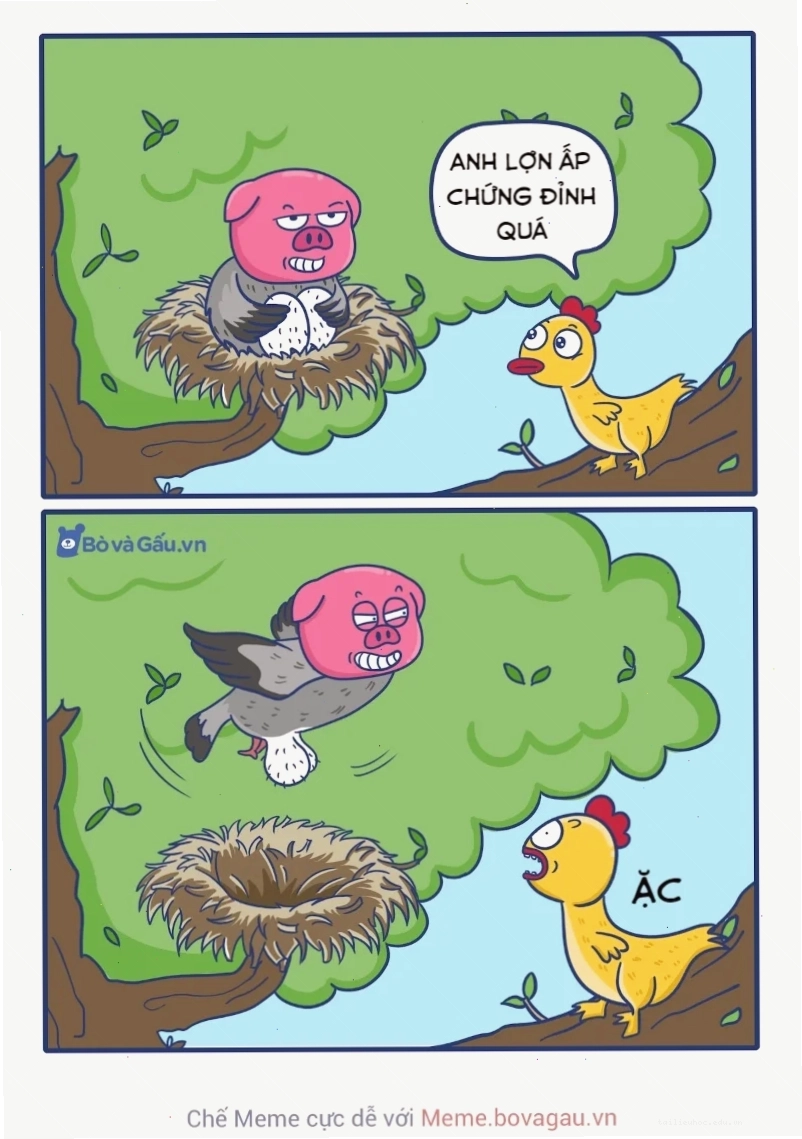 Lợn meme bất lực lợn meme bất lực