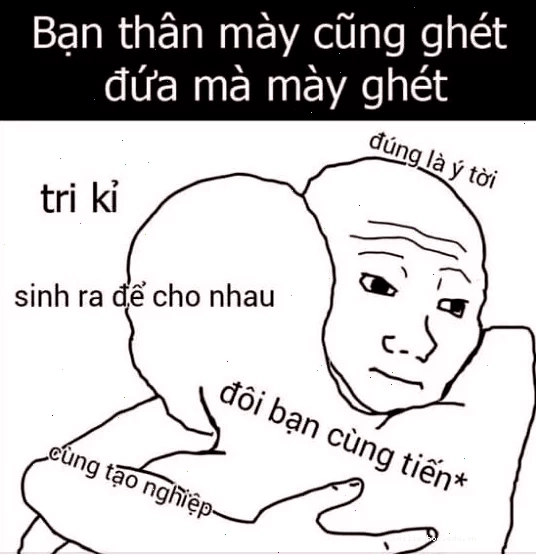 mãi mãi là anh em meme trong đời sống