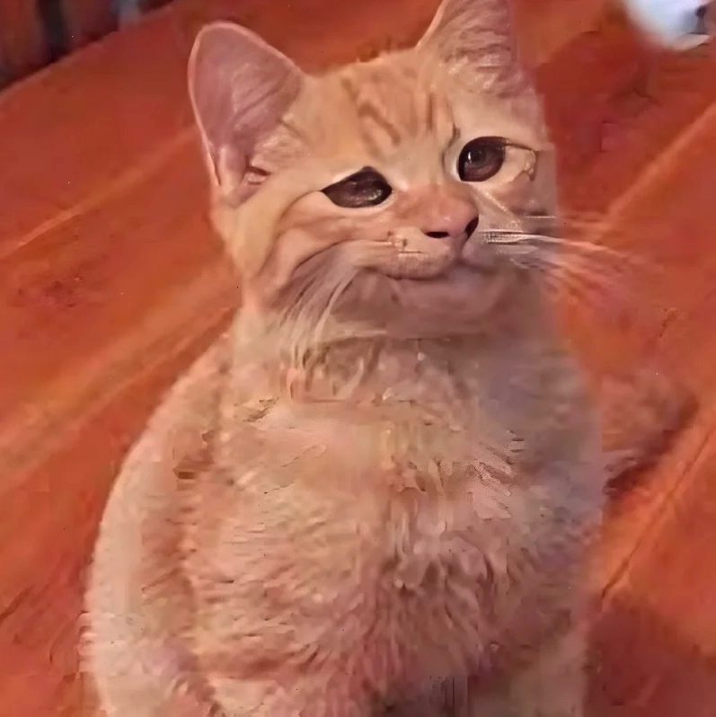 mặt mèo meme buồn mặt mèo meme buồn