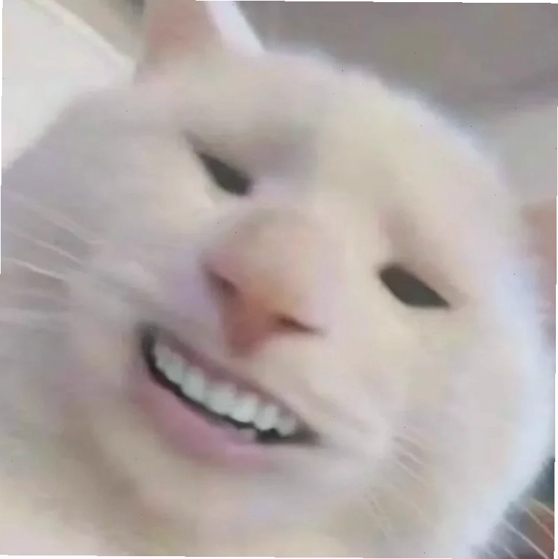 mặt mèo meme hạnh phúc mặt mèo meme hạnh phúc