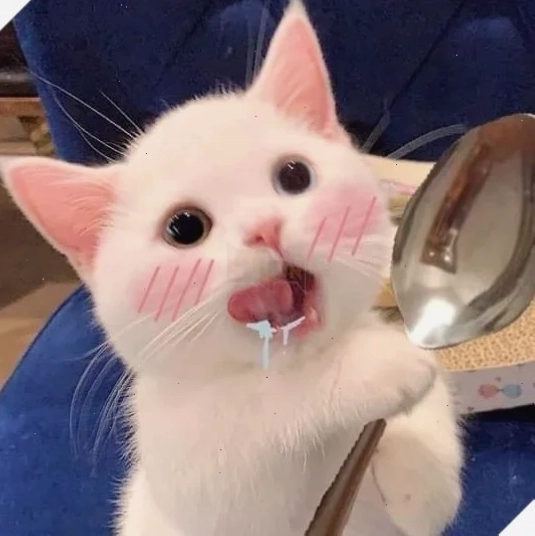mặt mèo meme kinh ngạc mặt mèo meme kinh ngạc