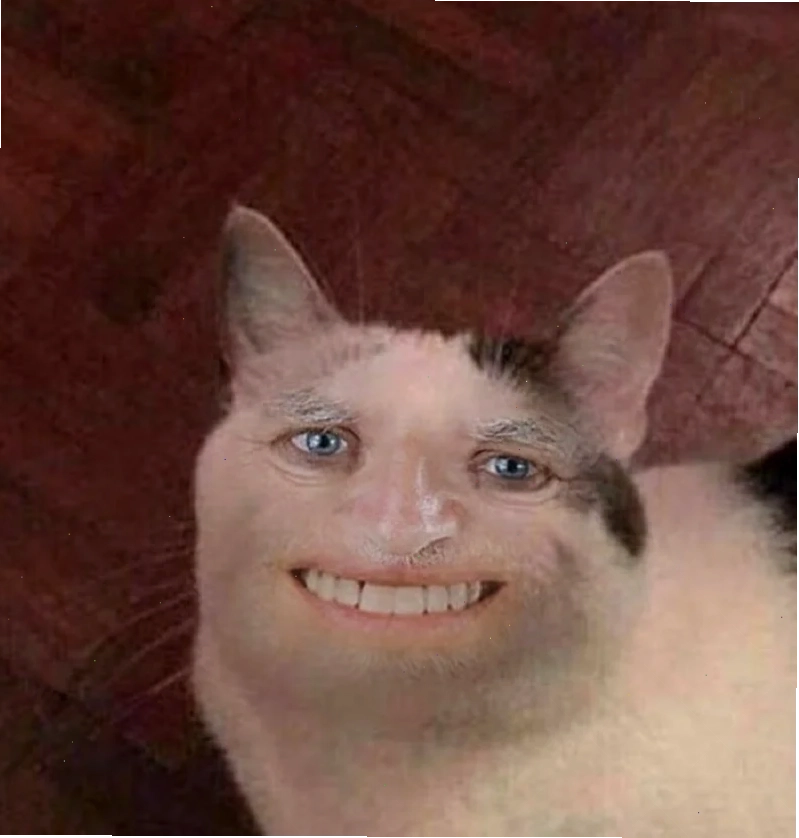 mặt mèo meme lườm mặt mèo meme lườm