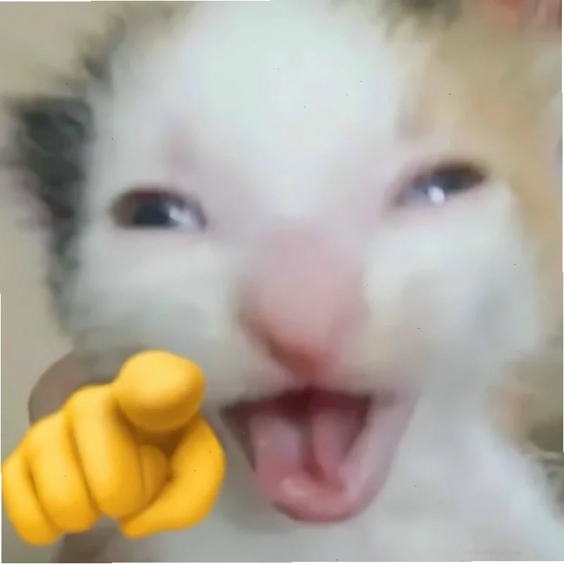 mặt mèo meme ngáp mặt mèo meme ngáp